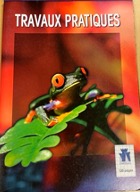 Pack De 5 Leurres Grenouille Luck E Strike Frénétiques Blanches - Live Motion 3